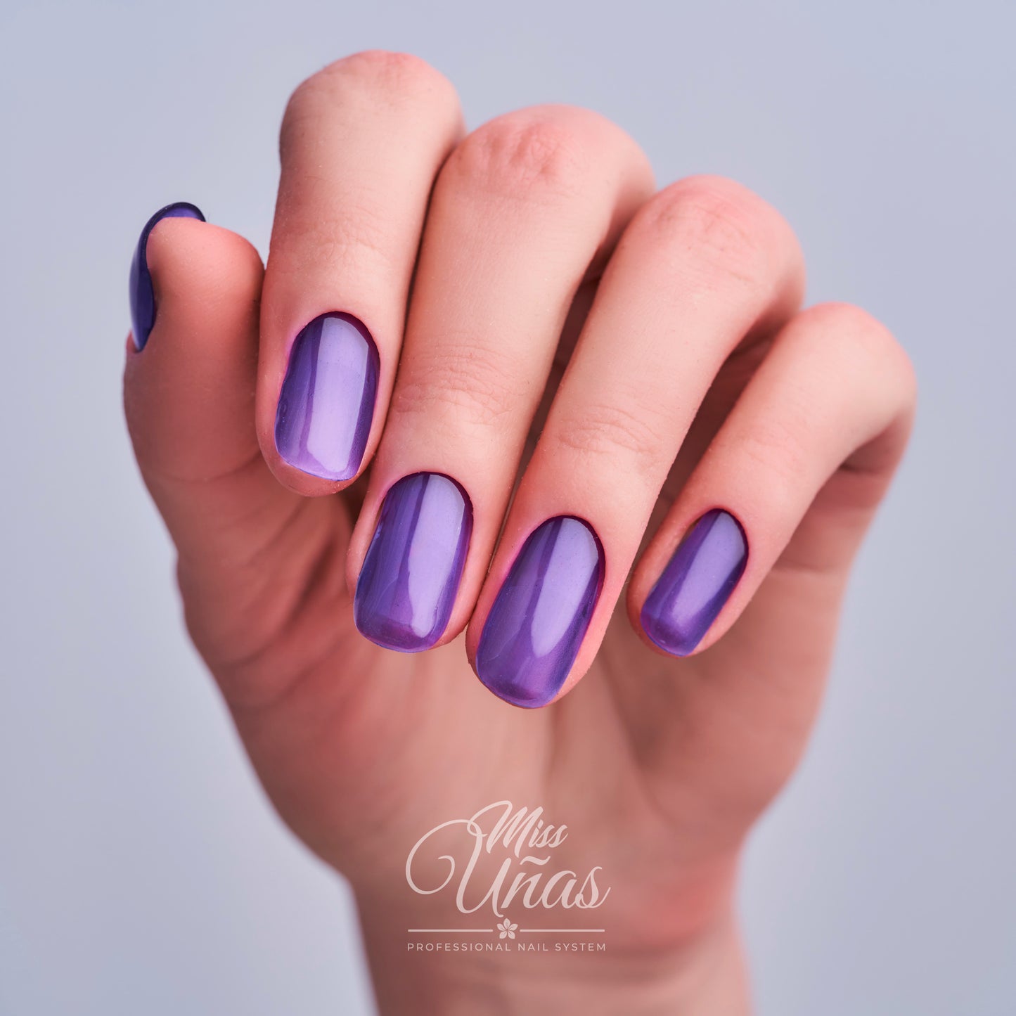 MS - 260 (JELLY MORADO)