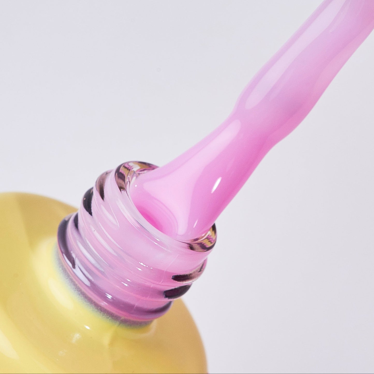 BASE RUBBER BLOSSOM