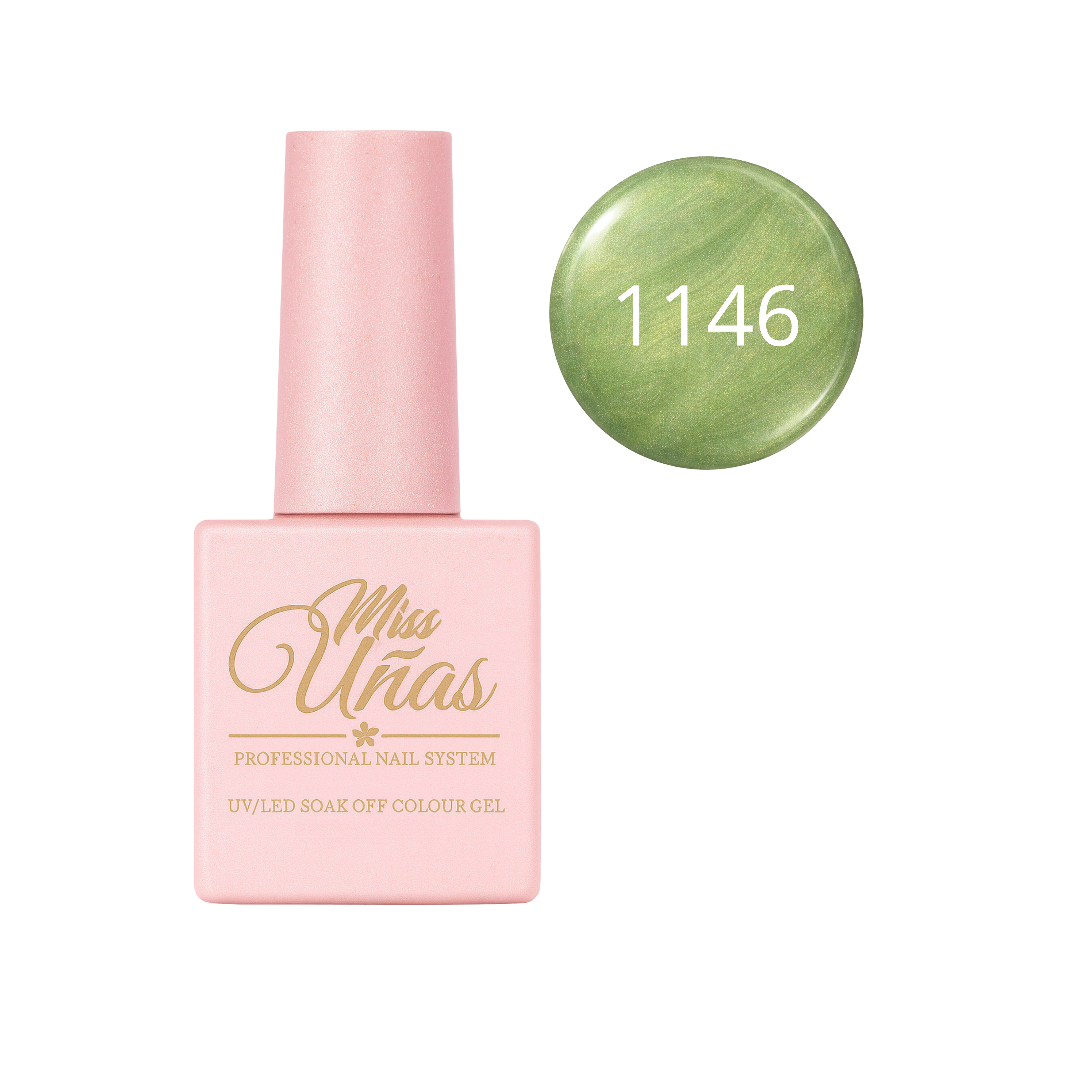 1146 CAT EYE