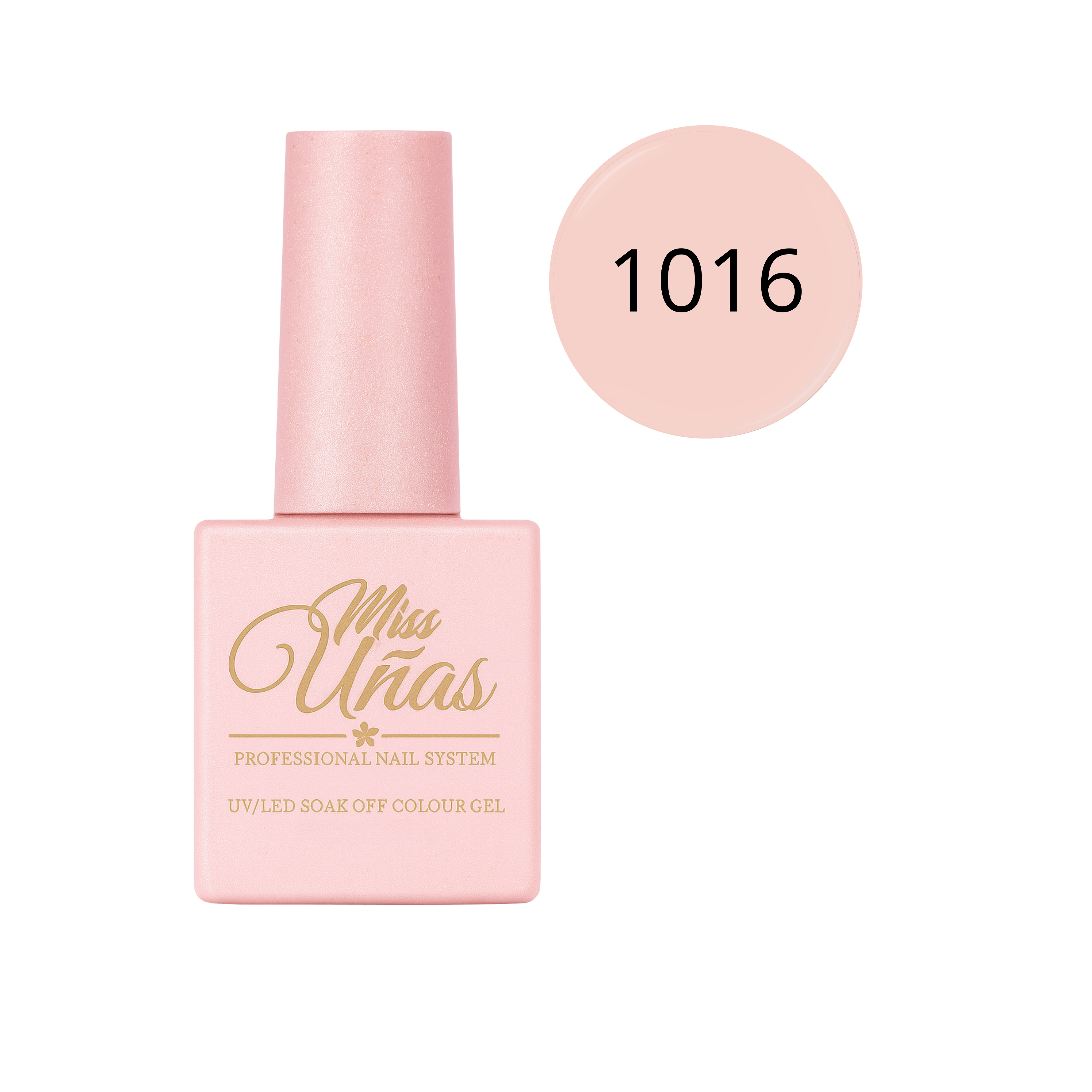 1016