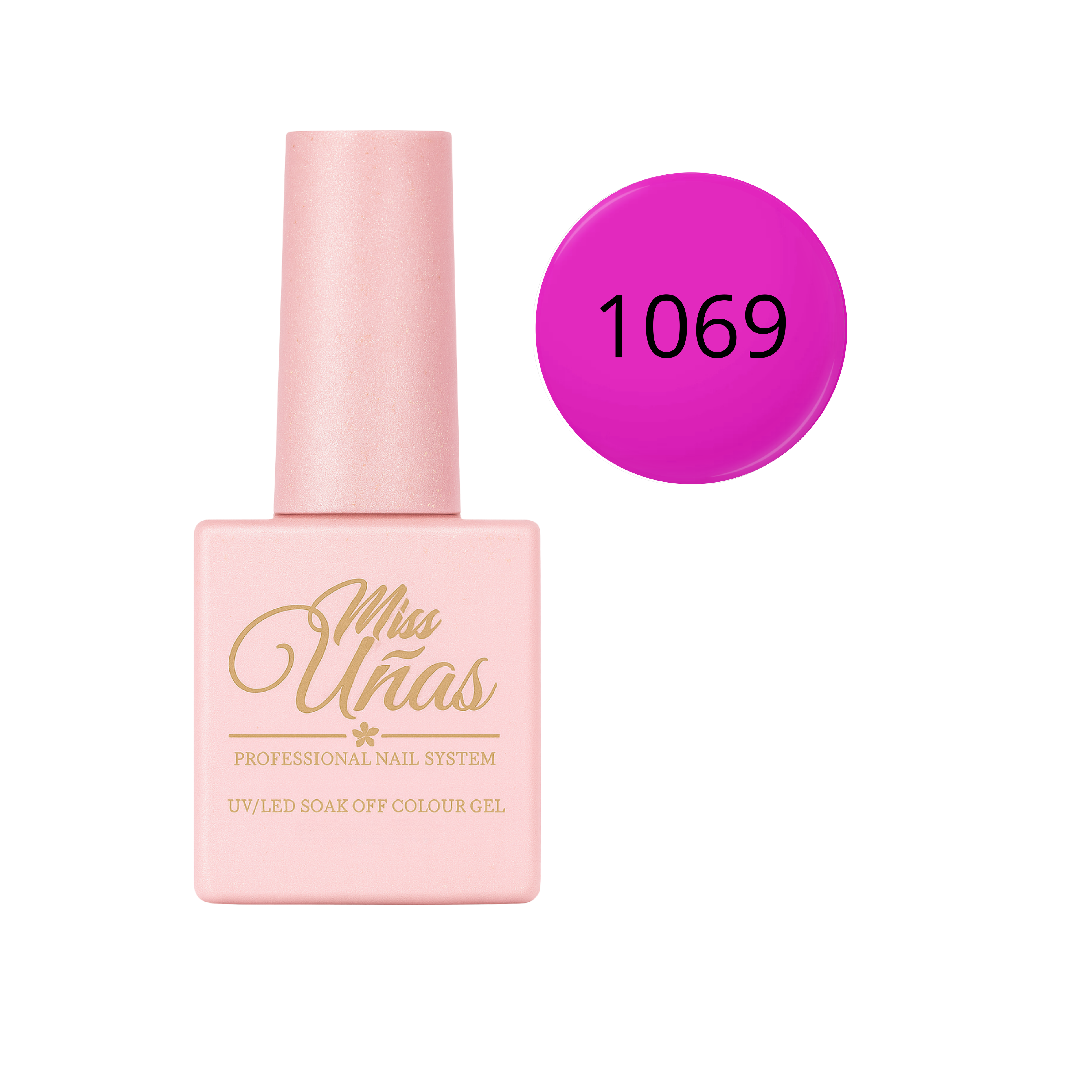 1069