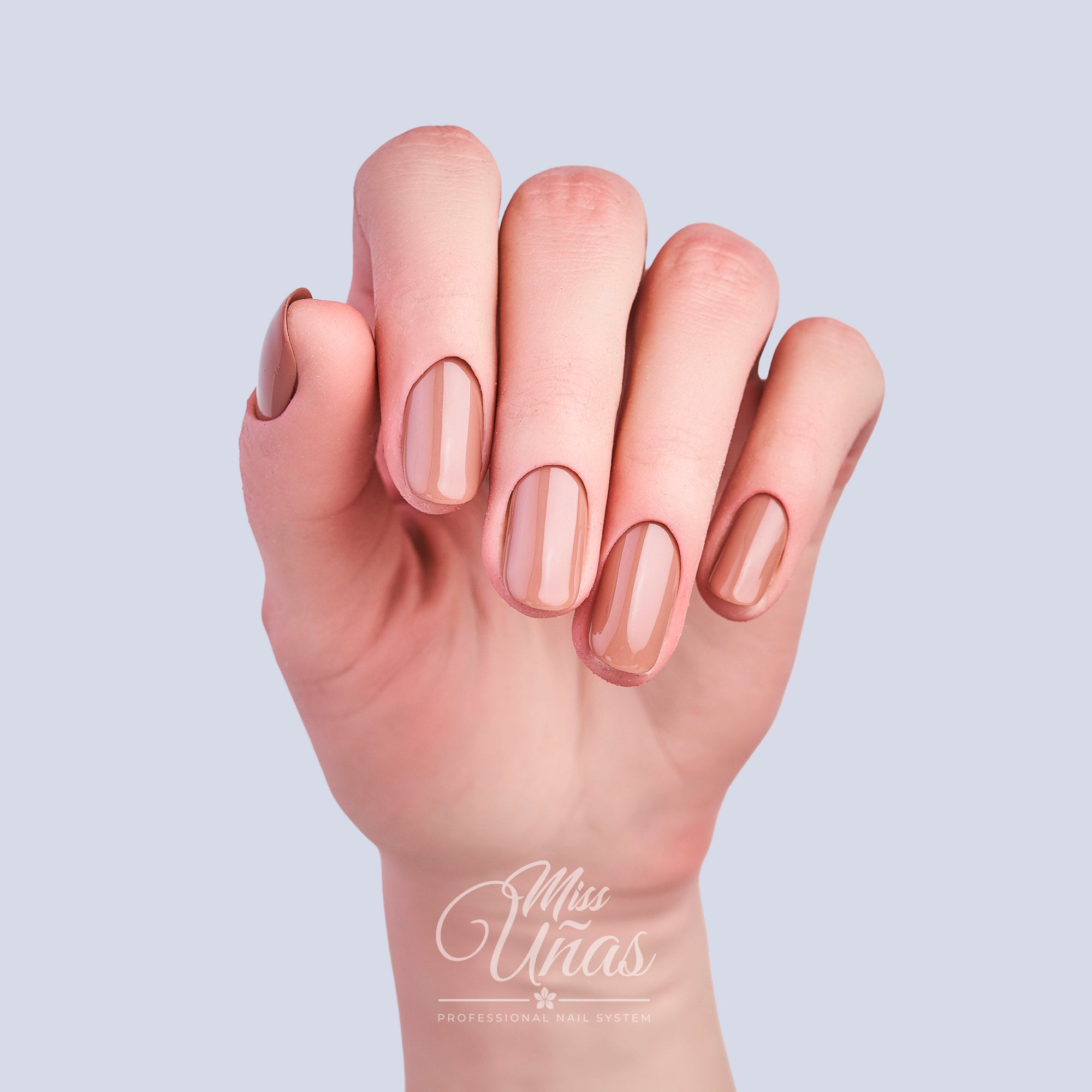 MS-301 MOCHA MOUSSE